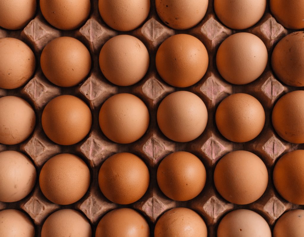 Eggs