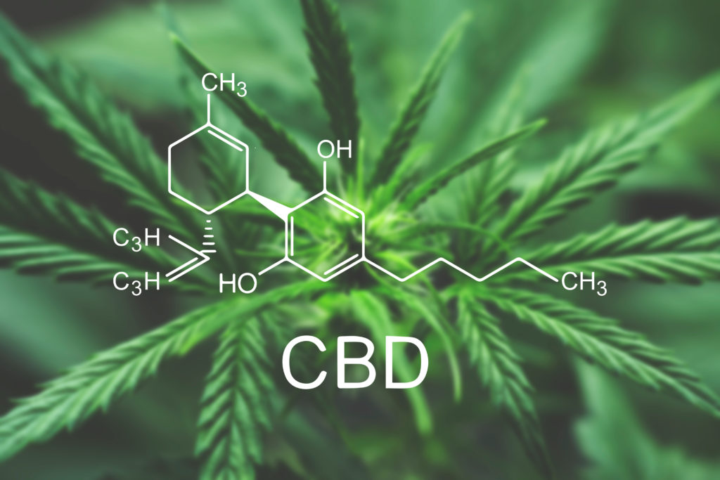 what is CBD image