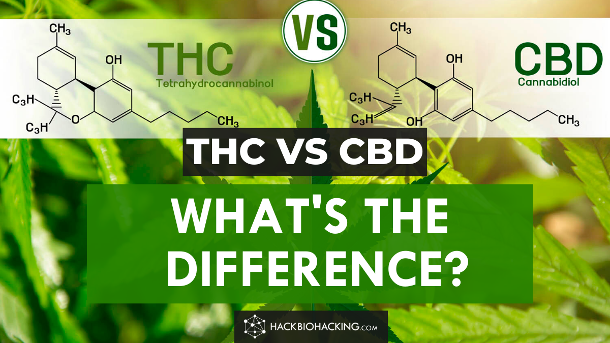 CBD vs THC, What’s the Difference?