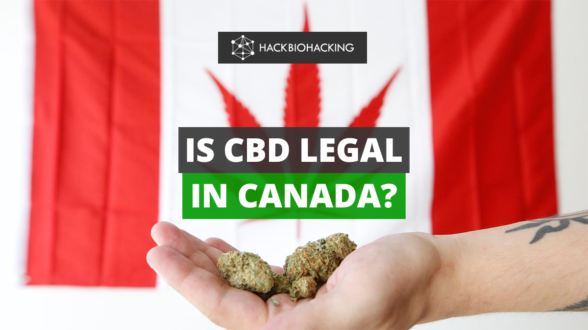 CBD legality in Canada | CBD in Canada
